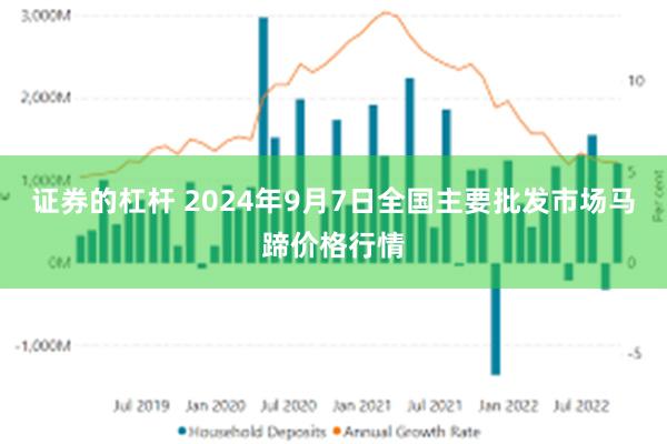 证券的杠杆 2024年9月7日全国主要批发市场马蹄价格行情