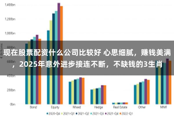 现在股票配资什么公司比较好 心思细腻，赚钱美满，2025年意外进步接连不断，不缺钱的3生肖