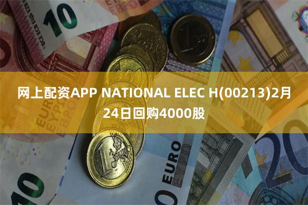 网上配资APP NATIONAL ELEC H(00213)2月24日回购4000股