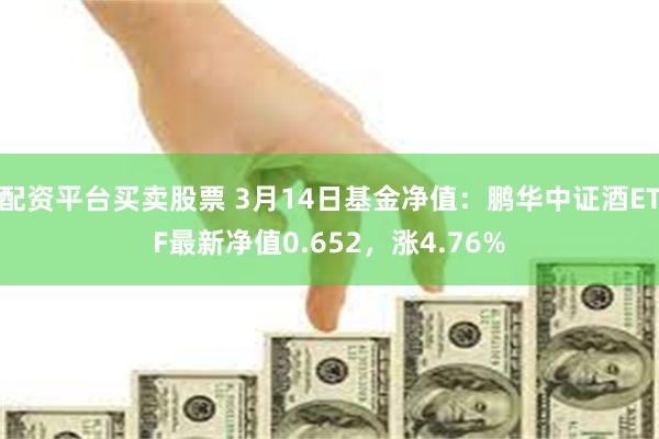 配资平台买卖股票 3月14日基金净值：鹏华中证酒ETF最新净值0.652，涨4.76%