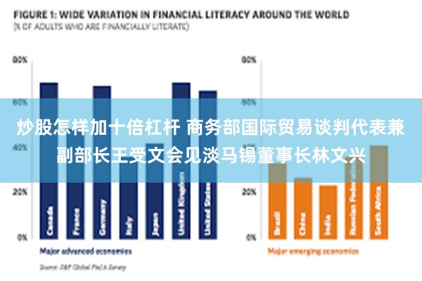 炒股怎样加十倍杠杆 商务部国际贸易谈判代表兼副部长王受文会见淡马锡董事长林文兴